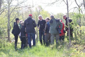 Foto: Annica Nettrup / Trollsländeföreningen.