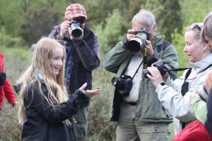 Foto: Annica Nettrup / Trollsländeföreningen.